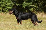 BEAUCERON 723